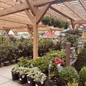 Armstrong Garden Centers - 3/30/26 All arranged & organized accordingly - Nurseries & Gardening Near Me - Pasadena, California Armstrong Garden Centers - 3/30/26 All arranged & organized accordingly - Nurseries & Gardening Near Me - Pasadena, California