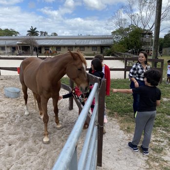 Davie Ranch - Venues & Event Spaces Near Me - Davie, Florida Davie Ranch - Venues & Event Spaces Near Me - Davie, Florida