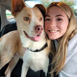 Friends of Animal Rescue - Furever