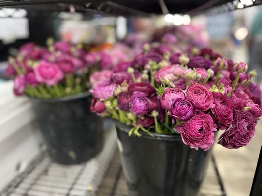 The Original Los Angeles Flower Market by null