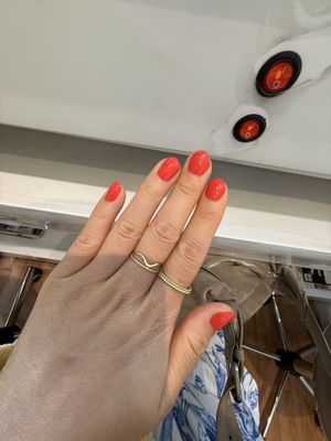 Picasso Nail by null