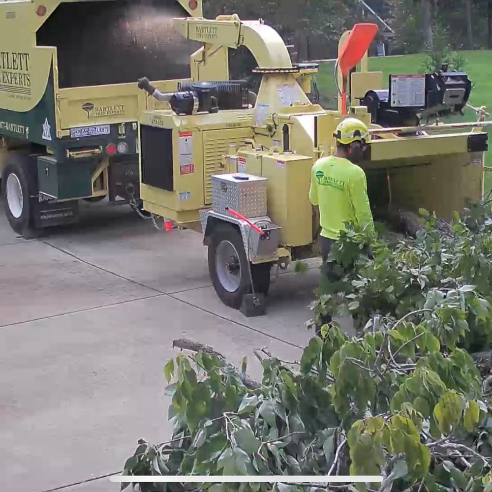Bartlett Tree Experts - They guys are cleaning up, putting into the chipper. - Tree Services Near Me - Charlotte, North Carolina Bartlett Tree Experts - They guys are cleaning up, putting into the chipper. - Tree Services Near Me - Charlotte, North Carolina