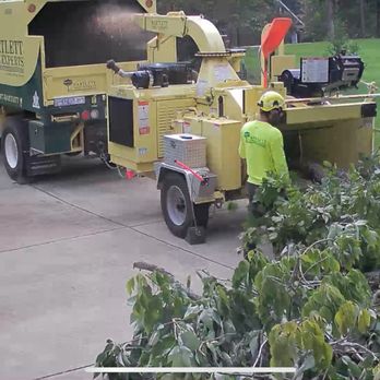 Bartlett Tree Experts - They guys are cleaning up, putting into the chipper. - Tree Services Near Me - Charlotte, North Carolina Bartlett Tree Experts - They guys are cleaning up, putting into the chipper. - Tree Services Near Me - Charlotte, North Carolina