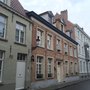 Photo of Brughia