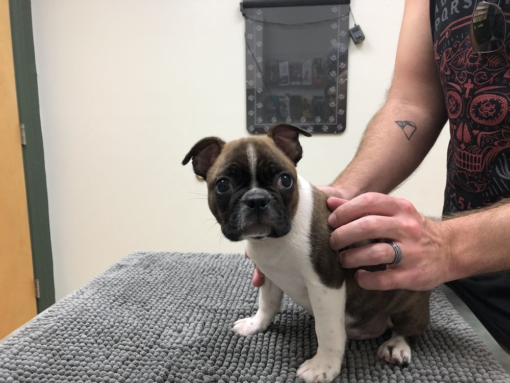 Fruitville Veterinary Clinic Image