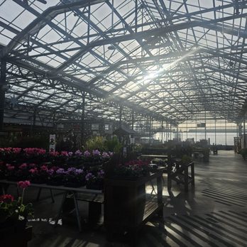 Sky Nursery - Flowering plants - Nurseries & Gardening Near Me - Shoreline, Washington Sky Nursery - Flowering plants - Nurseries & Gardening Near Me - Shoreline, Washington