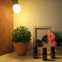 Kellys Spa Mazatlán - Aceites esenciales para massage que te harán sentirte más relajada solo aquí en Kelly spa