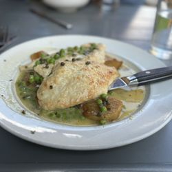 Zia’s Social - Limone chicken