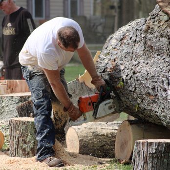 Paddy Tree Experts - Tree Services Near Me - Shady Side, Maryland Paddy Tree Experts - Tree Services Near Me - Shady Side, Maryland