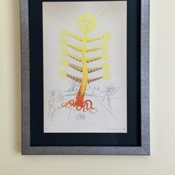 Framing of Central Florida