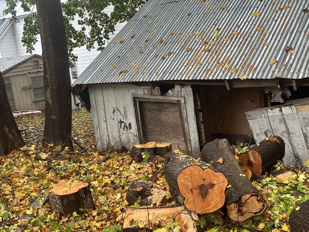 M&S Tree Service - tree service in Claremont, NH