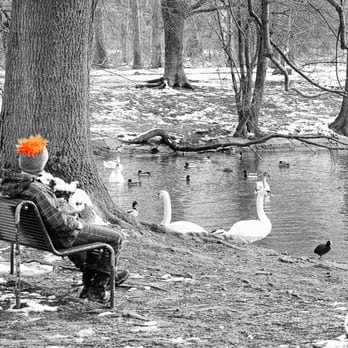 Decksteiner Weiher - Lakes Near Me - Cologne, NW