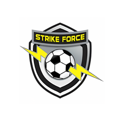 Miami Strike Force