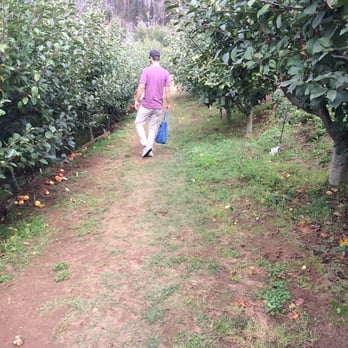 Clearview Orchards - Farmers Market Near Me - Watsonville, California