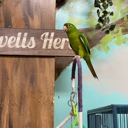 Preuss Pets