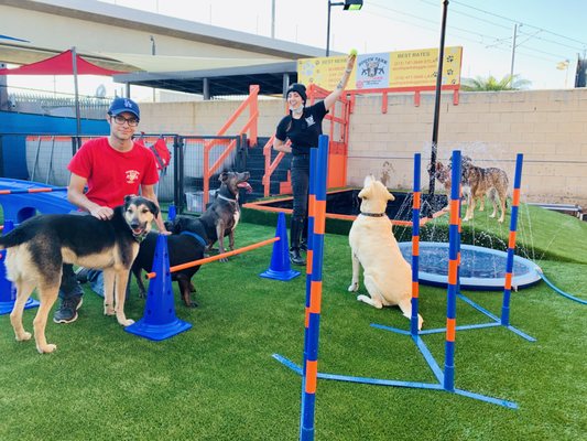 south park doggie daycare lax