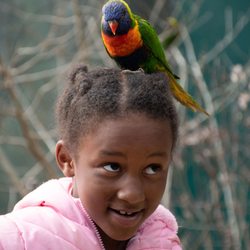 Louisville Zoo - Lorikeet and lucky guest. Photo by Callie Wells.