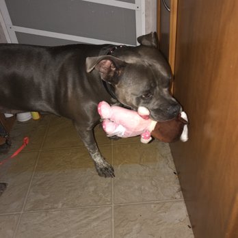 Marlow Veterinary Clinic - My baby gets her nails done and the people are awesome in helping me help my girl (baby)!!!! - Veterinarians Near Me - Marlow, Oklahoma