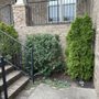Photo of Martin’s Lawn Care