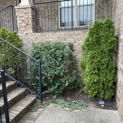 Martin’s Lawn Care