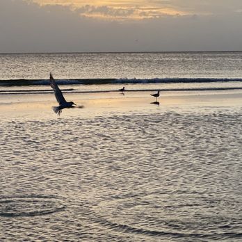 Cedar Cove Resort & Cottages - Hotels Near Me - Holmes Beach, Florida