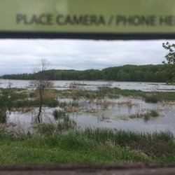 Mentor Lagoons Marina - The actual photo of the Marsh on 5/20/19