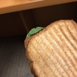 Steak panini - almost $8 for just this Steak panini - almost $8 for just this