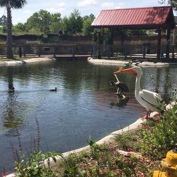 Zoo Miami - Zoos Near Me - Miami, Florida