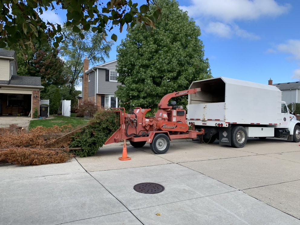 Huron Forestry - tree service in Belleville, MI