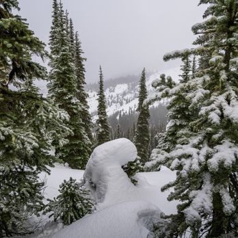 Evergreen Escapes - Tours Near Me - Seattle, Washington