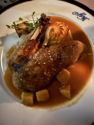 U Modré Kachničky by null