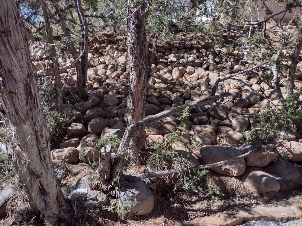 CAMPOS LANDSCAPING Española, New Mexico Landscaping Phone Number