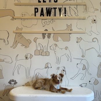 Woofboard - Pet Stores Near Me - Campbell, California Woofboard - Pet Stores Near Me - Campbell, California