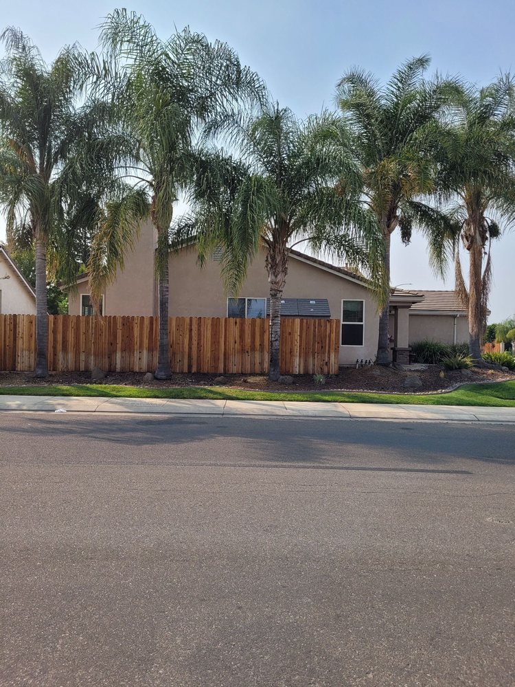 ANGEL’S TREE SERVICE Updated October 2024 22 Photos & 75 Reviews