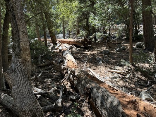 Lower Yosemite Falls Trailhead by null