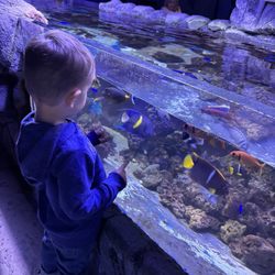 East Idaho Aquarium