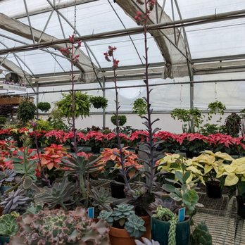 River Street Flowerland - Nurseries & Gardening Near Me - Kalamazoo, Michigan River Street Flowerland - Nurseries & Gardening Near Me - Kalamazoo, Michigan