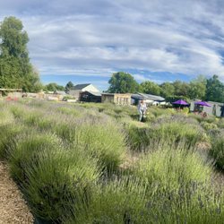 Bohemian Bloom & Herb Farm - Yup, yoga & music events sometimes avail at this venue!