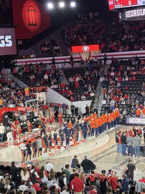 Stegeman Coliseum by null