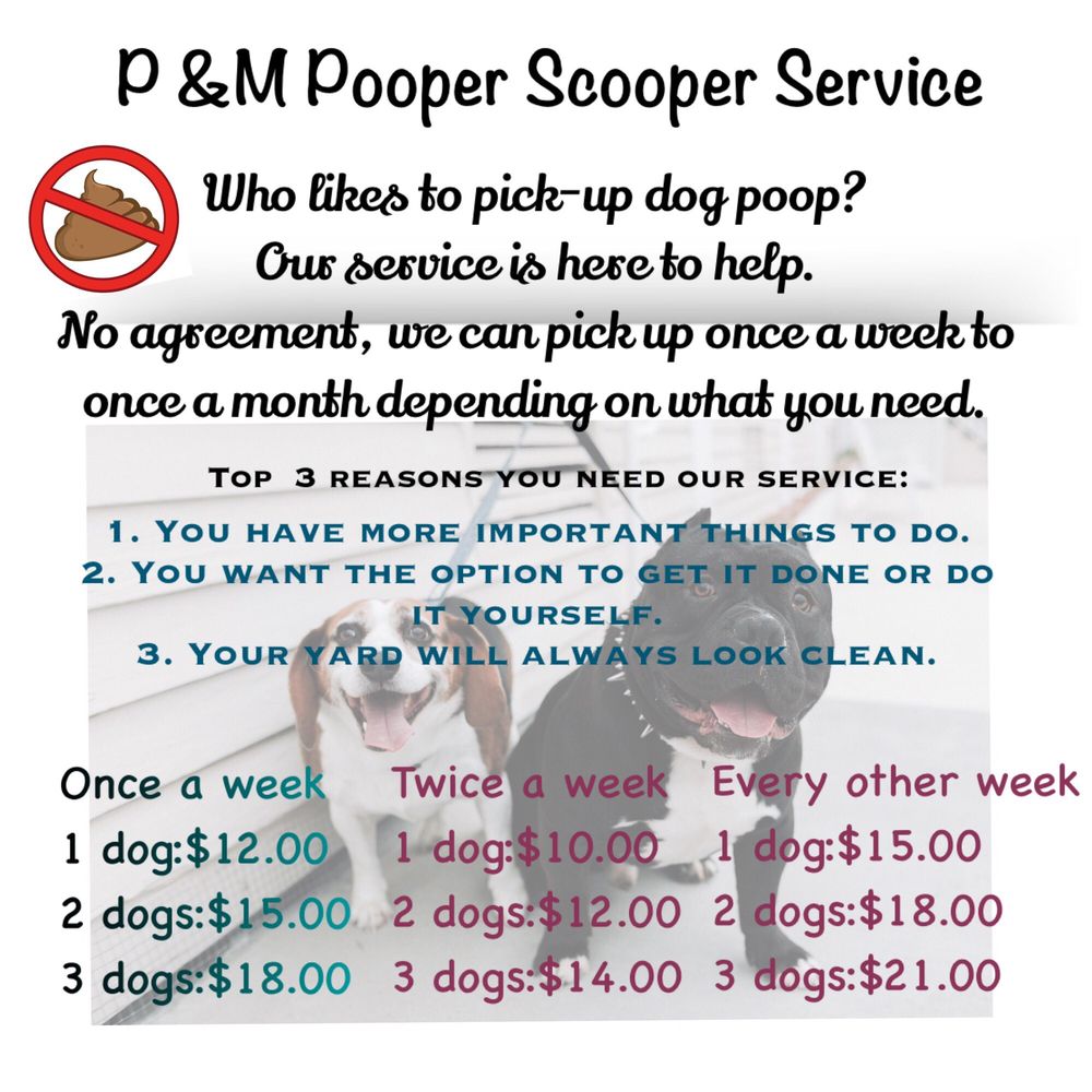 P & M POOP PICKUP SERVICE Vallejo, California Pet Services Phone