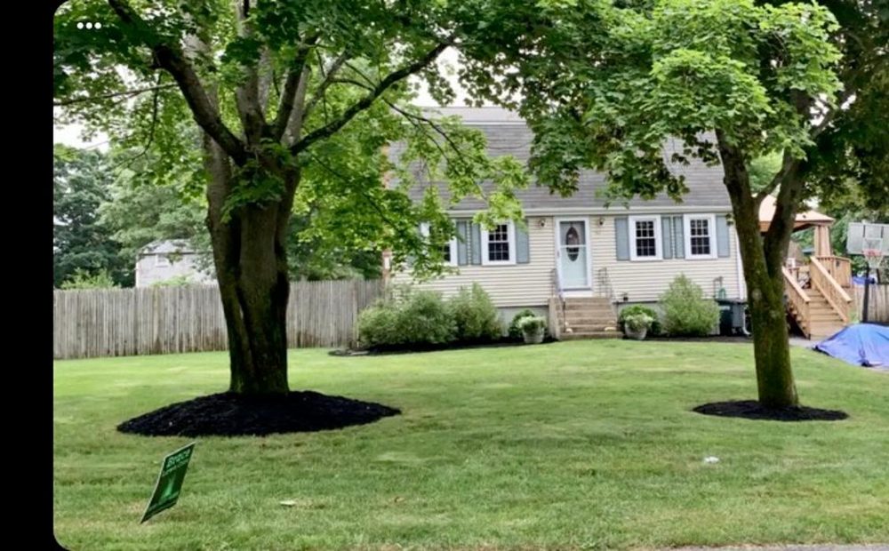 BRACE LAWN CARE Updated July 2024 73 Photos 175 Rocky Pond Rd