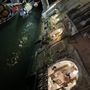 Photo of Sempione di Signora Santa