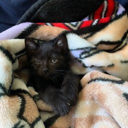 When I first got her (left eye) When I first got her (left eye)