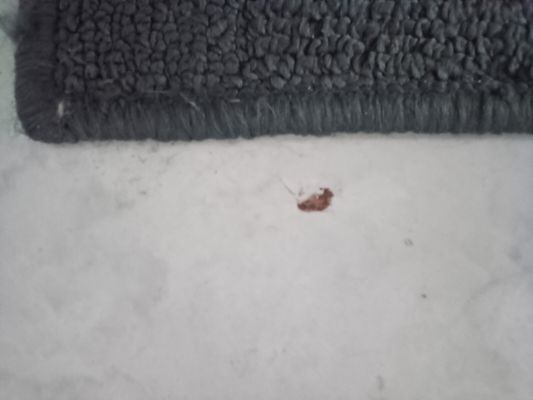 KEY LANTERN MOTEL - Updated December 2024 - 15 Photos & 20 Reviews