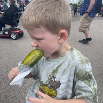 Minnesota State Fair - The Big Pickle - Festivals Near Me - Saint Paul, Minnesota Minnesota State Fair - The Big Pickle - Festivals Near Me - Saint Paul, Minnesota