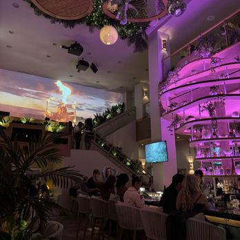 PALM TREE CLUB - Updated February 2026 - 144 Photos & 41 Reviews - 14 E