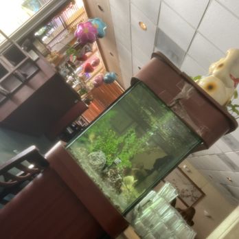 Helen Huang's Mandarin House - Dinning room - Chinese Near Me - Hollywood, Florida Helen Huang's Mandarin House - Dinning room - Chinese Near Me - Hollywood, Florida
