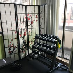The Studio