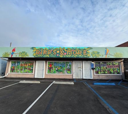 Birds & More by null