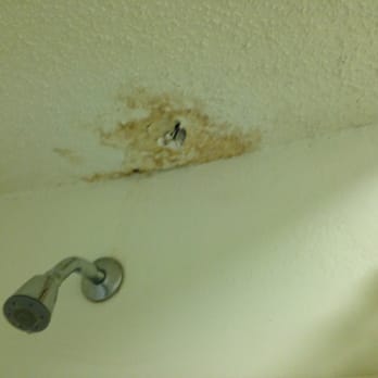 Motel 6 - Don't you get embarrassed with that?? That is the showers ceiling. - Hotels Near Me - Bells, Tennessee